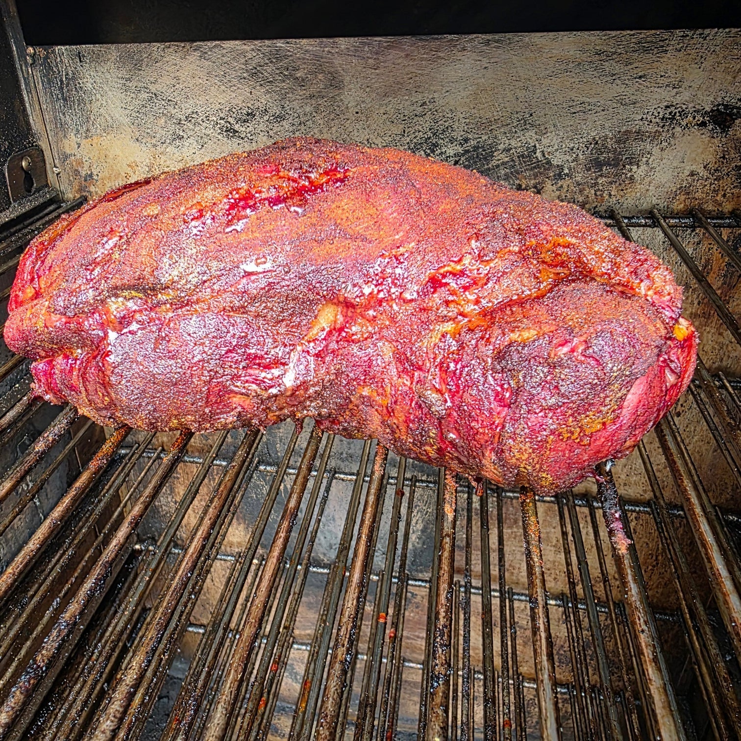 Memphis Pig FireFly