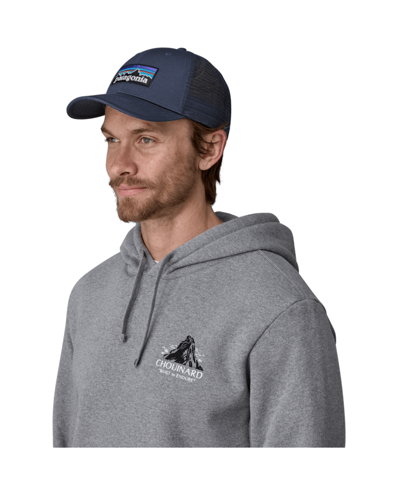 Patagonia P-6 Logo Trucker Hat hat Patagonia