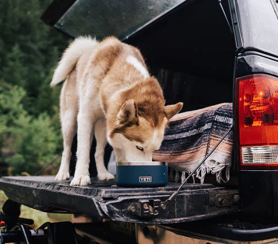 Boomer 4 Dog Bowl Dog Bowl Yeti   