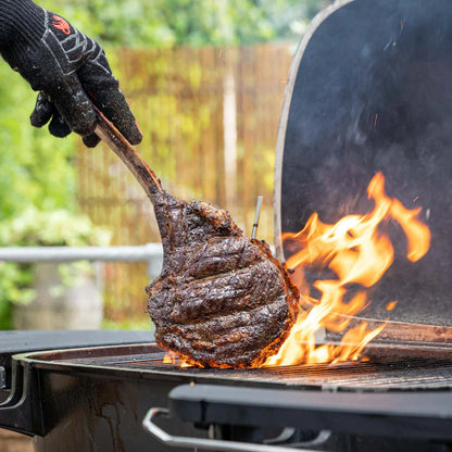 MEATER Pro thermometer Meater