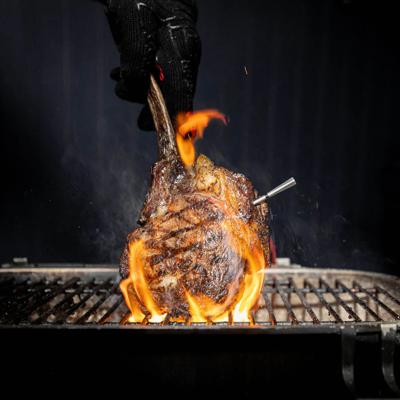 MEATER Pro thermometer Meater