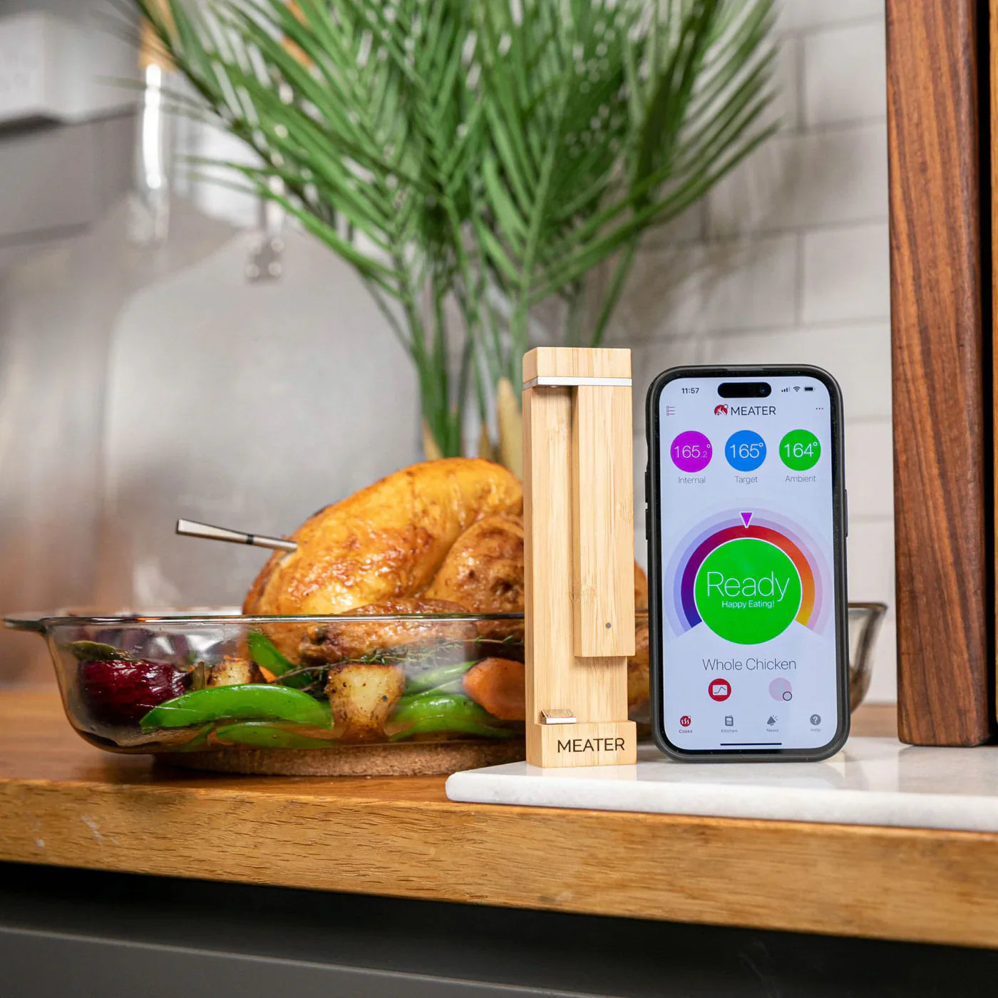 MEATER Pro thermometer Meater