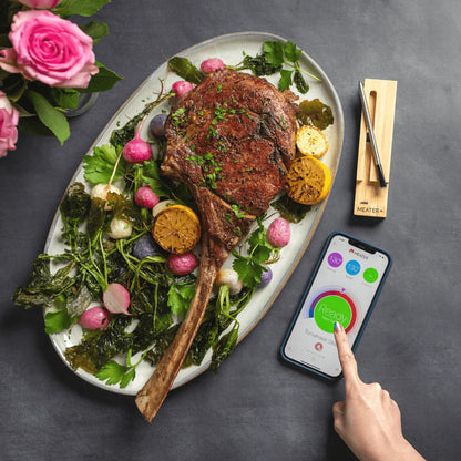 MEATER Plus thermometer Meater